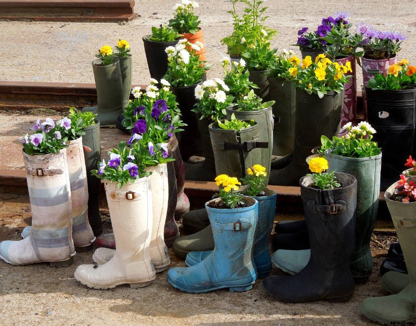 Crafty Containers: Unusual Alternatives to Conventional Pots