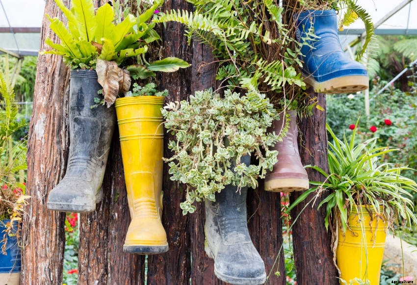 Crafty Containers: Unusual Alternatives to Conventional Pots