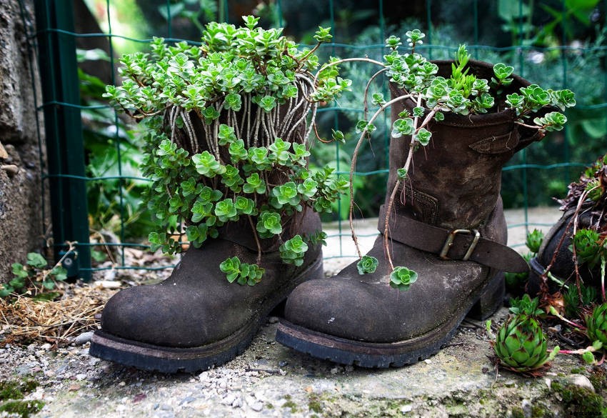 Crafty Containers: Unusual Alternatives to Conventional Pots