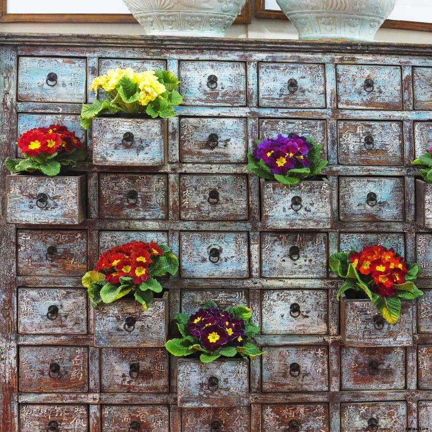 Crafty Containers: Unusual Alternatives to Conventional Pots