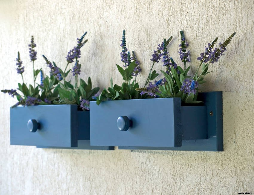Crafty Containers: Unusual Alternatives to Conventional Pots