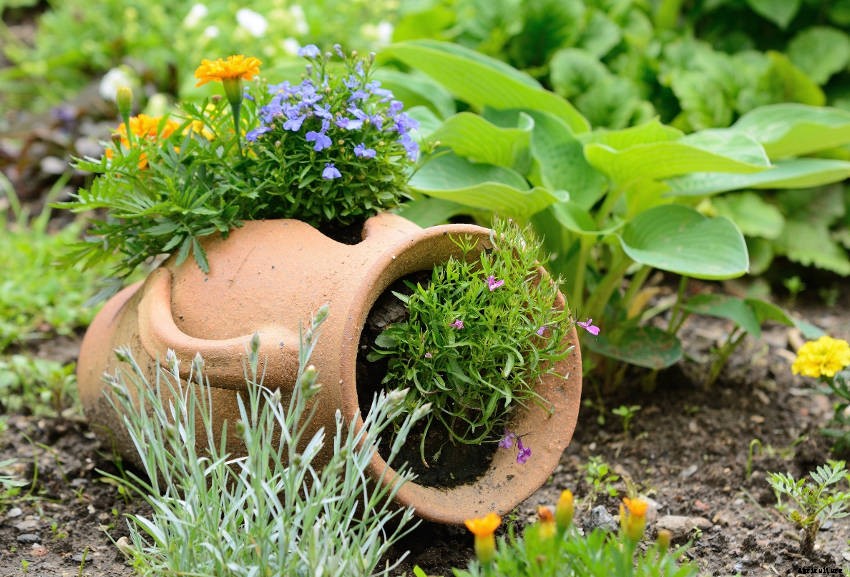 Crafty Containers: Unusual Alternatives to Conventional Pots