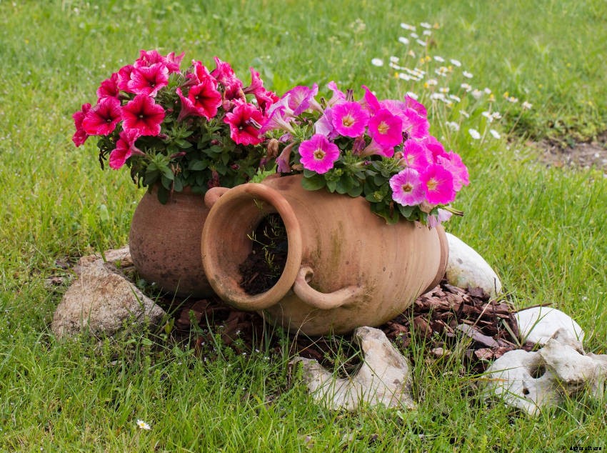 Crafty Containers: Unusual Alternatives to Conventional Pots