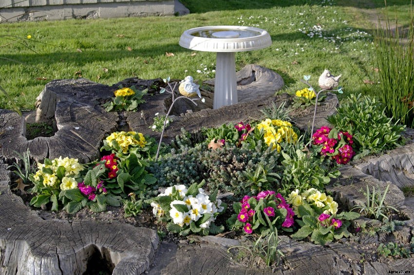 Crafty Containers: Unusual Alternatives to Conventional Pots