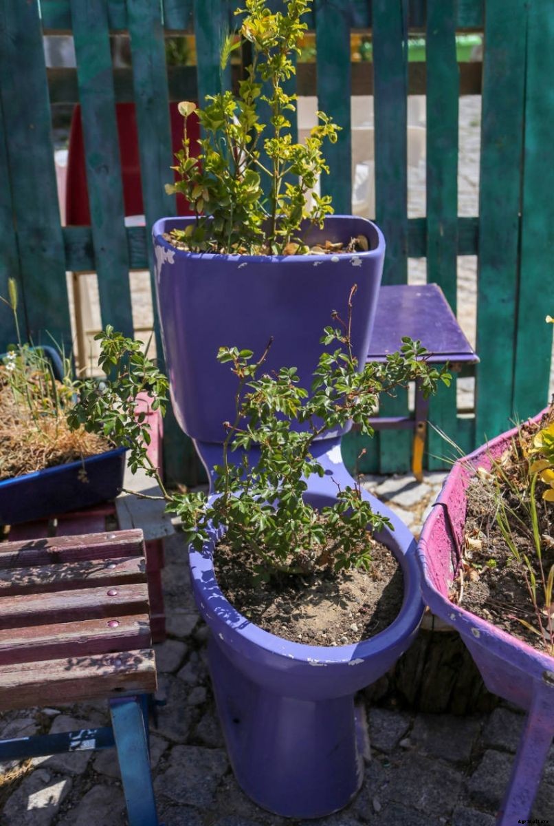 Crafty Containers: Unusual Alternatives to Conventional Pots