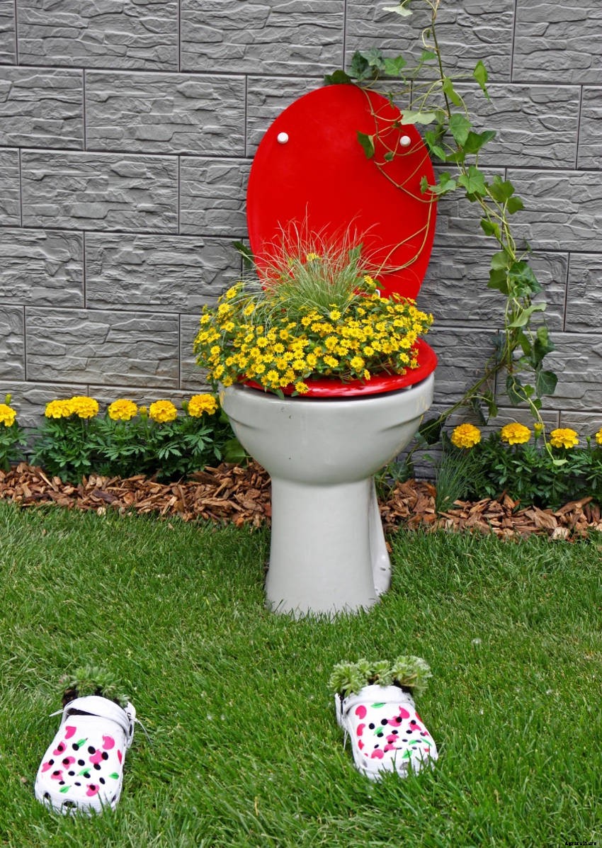 Crafty Containers: Unusual Alternatives to Conventional Pots