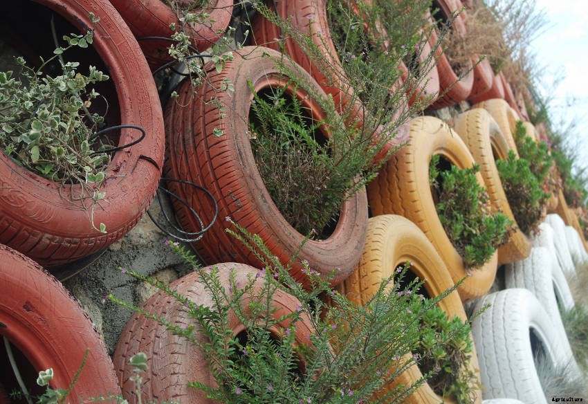 Crafty Containers: Unusual Alternatives to Conventional Pots