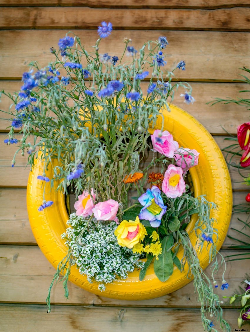 Crafty Containers: Unusual Alternatives to Conventional Pots