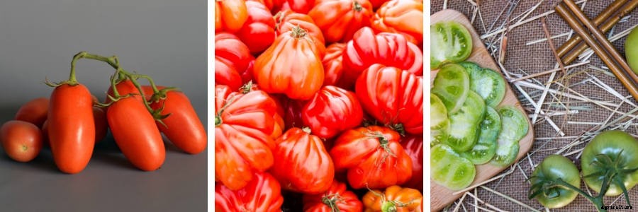 Artificial Selection, Heirloom Seeds, and the Amazing Variety They Bring to Gardening