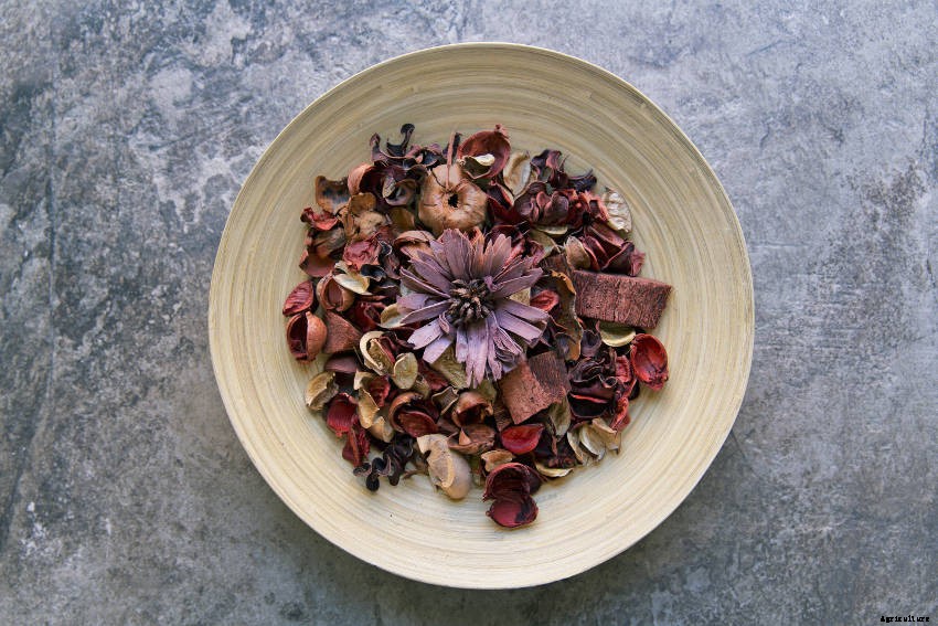 Savour the Scent of Summer for Longer with Homemade Potpourri