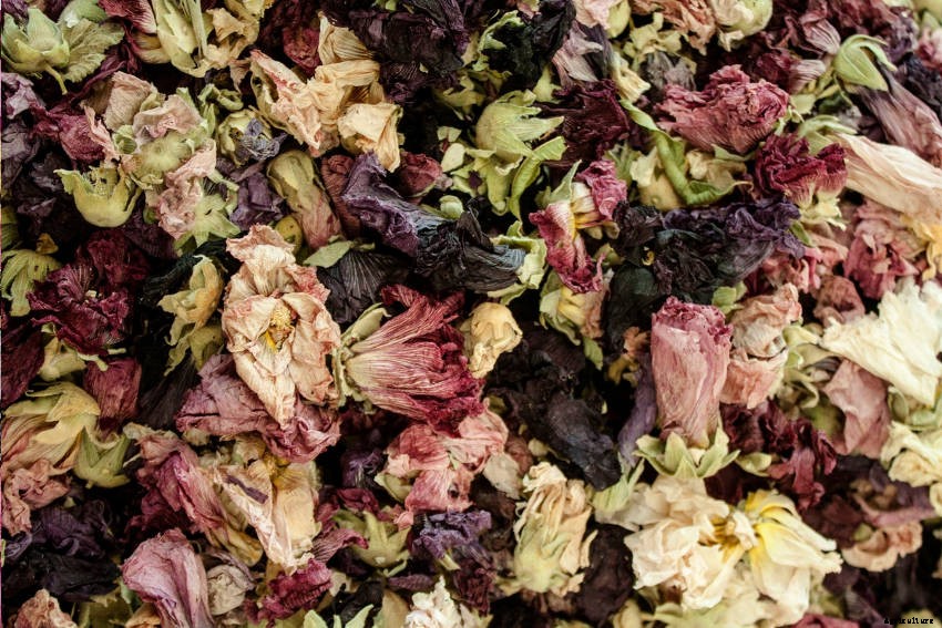 Savour the Scent of Summer for Longer with Homemade Potpourri
