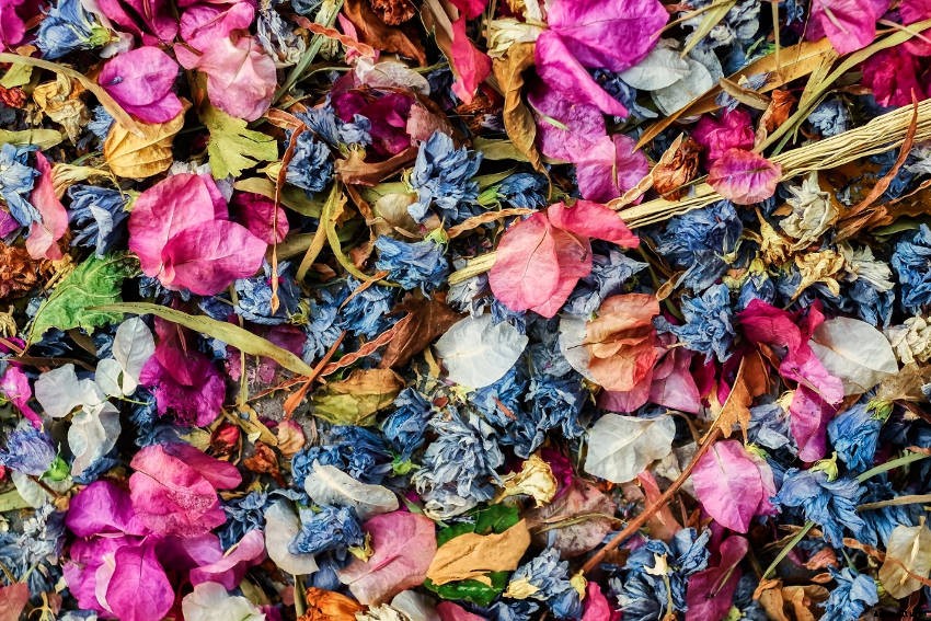 Savour the Scent of Summer for Longer with Homemade Potpourri