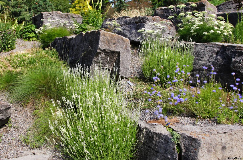 A Beginners Guide to Mulch and Mulching