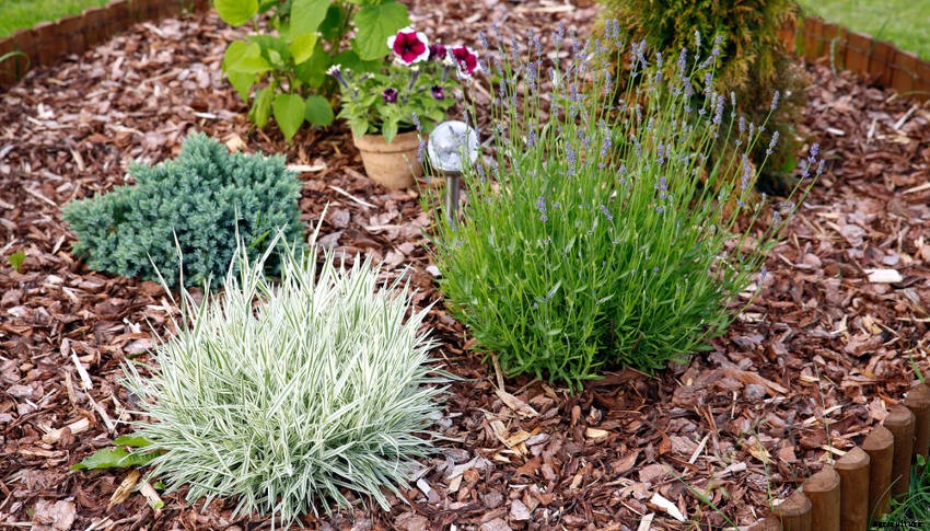 A Beginners Guide to Mulch and Mulching