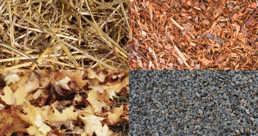 A Beginners Guide to Mulch and Mulching