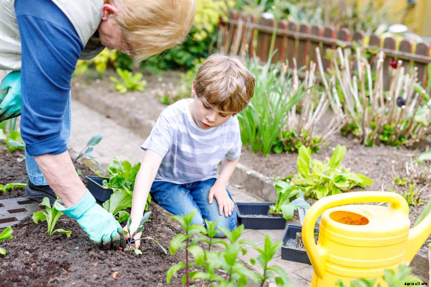 Why You Should Grow from Seed with Kids - and the Best Ways to Get Started Doing It