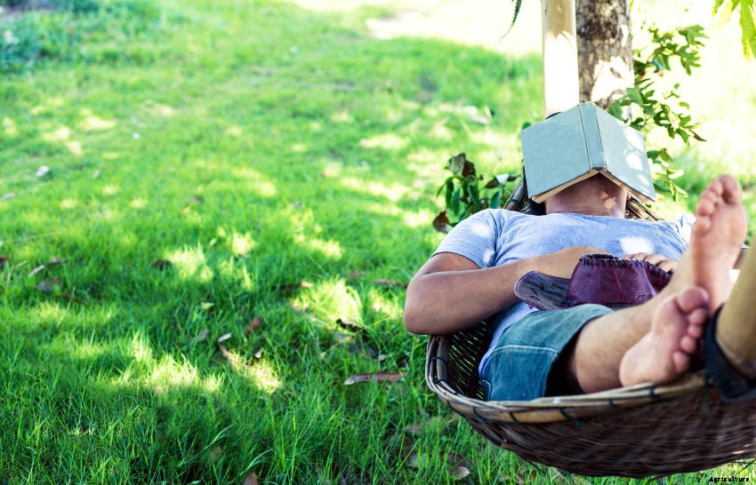 Low-Maintenance Vegetable Gardening - Homegrown Produce Without the Hassle