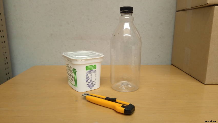 How to Build a Beer Trap - The Home-Brewed Approach to Slug and Snail Control