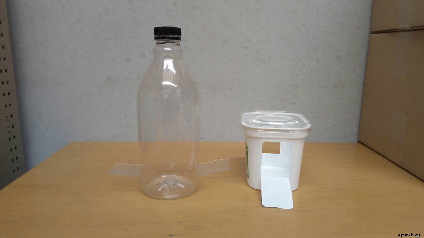 How to Build a Beer Trap - The Home-Brewed Approach to Slug and Snail Control