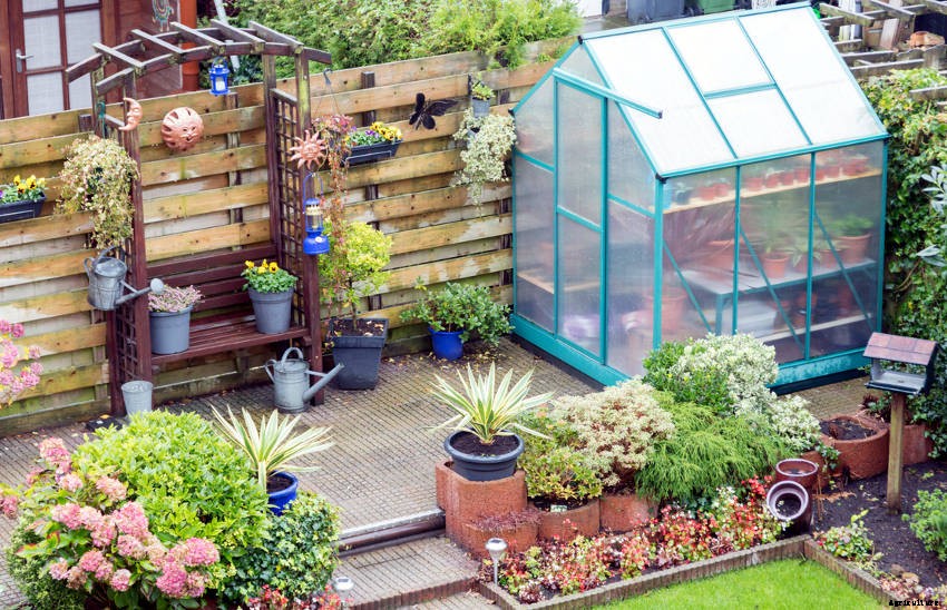 Starting Seeds Early