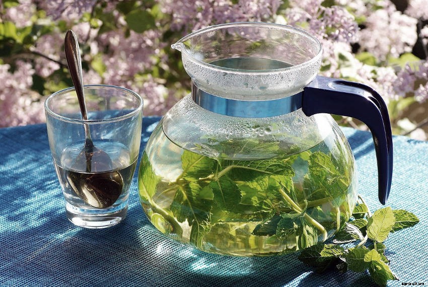 Herbal Teas- How They Bring a New Dimension to Your Herb Garden