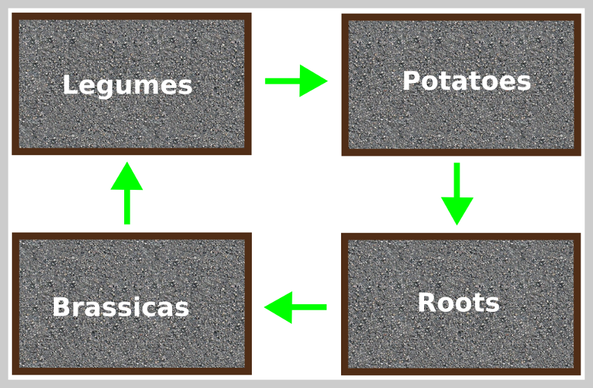 A Beginners Guide to Crop Rotation: How It Works and Why You Should Use It
