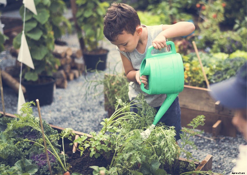 Thinking of Taking Up Gardening? 8 Convincing Reasons You Should Start Today
