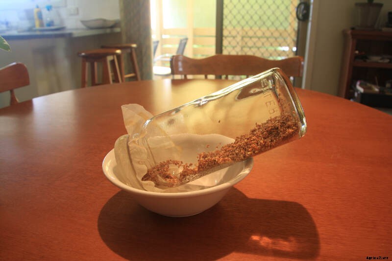 How to Grow Sprouts - the Quickest, Easiest Way to Put Home-Grown Food On Your Plate