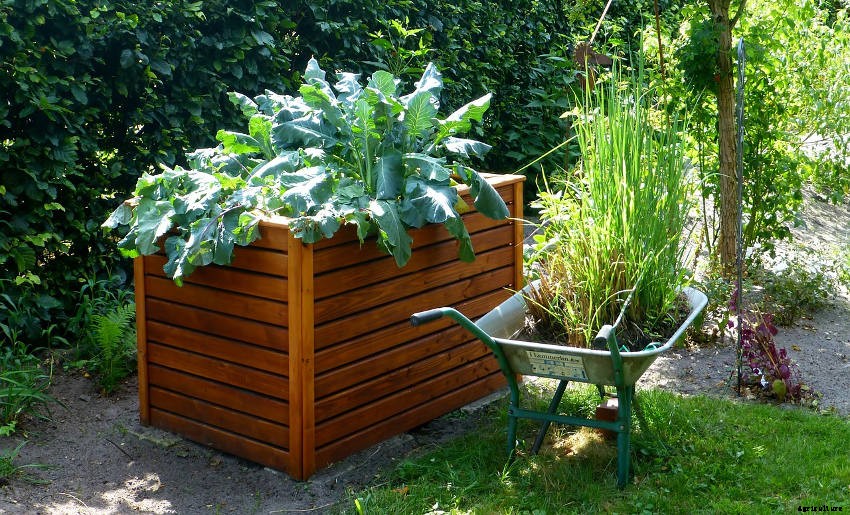 The Pros and Cons of a Raised Garden Bed