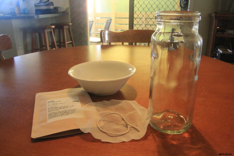 Sprouted Seeds- How to Grow Sprouts