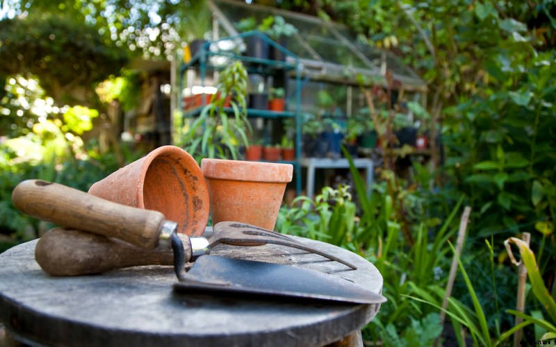 Starting an Organic Garden