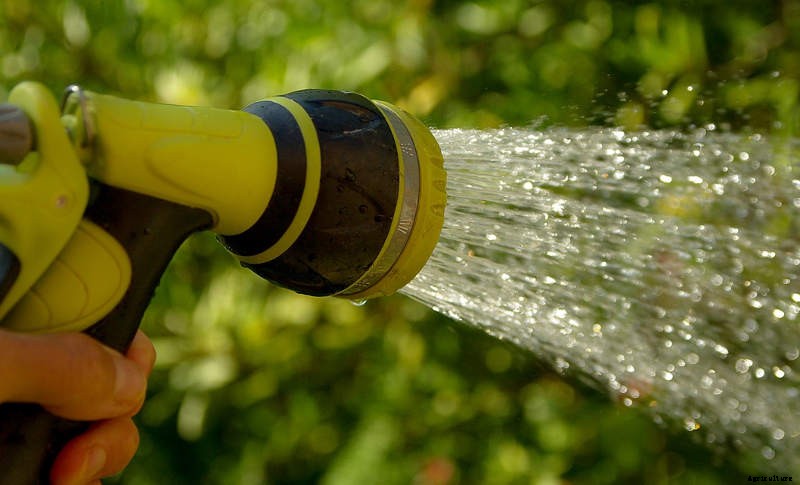 Watering your Garden