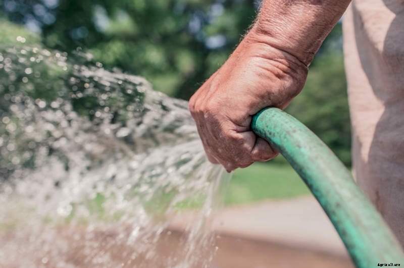 Watering your Garden