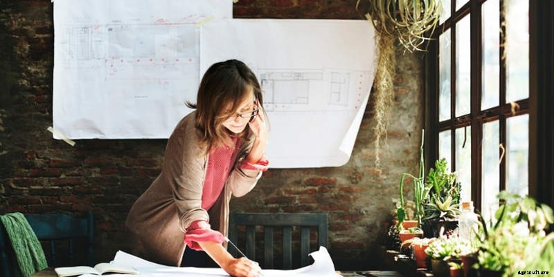 Tips for a Successful Garden