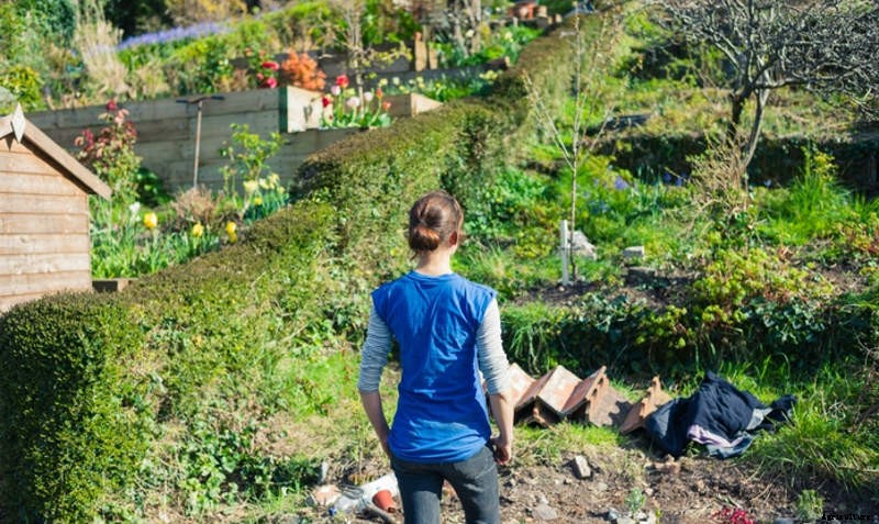 Tips for a Successful Garden