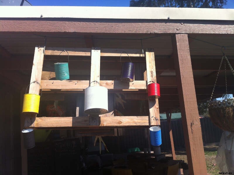 Container Gardens for Renters