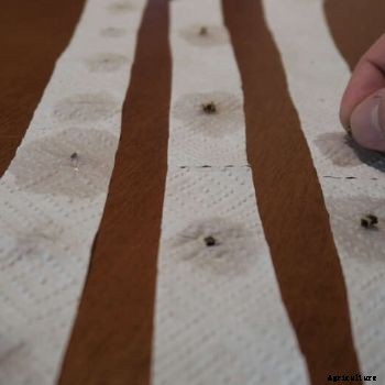 Newsletter- September 2016