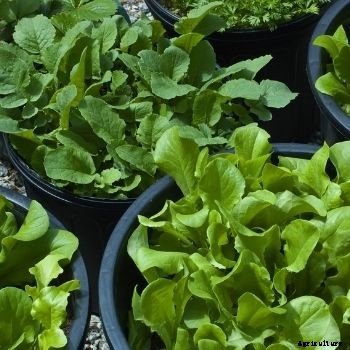 Newsletter- September 2016