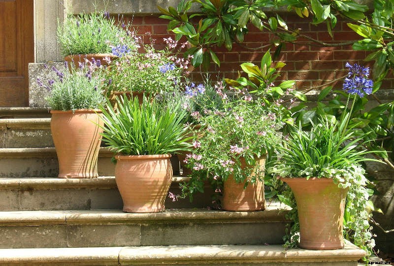 5 Learnings from a Greenhorne Green Thumb