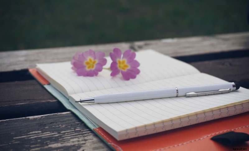 5 Learnings from a Greenhorne Green Thumb