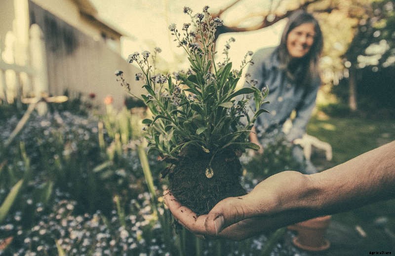 5 Learnings from a Greenhorne Green Thumb