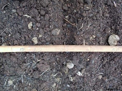 The 3 Rs: Reduce, Reuse, Recycle