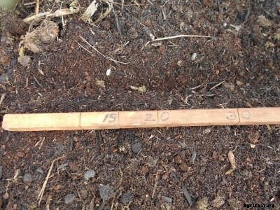 The 3 Rs: Reduce, Reuse, Recycle