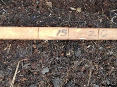 The 3 Rs: Reduce, Reuse, Recycle