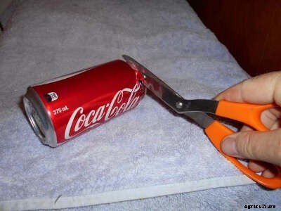 The 3 Rs: Reduce, Reuse, Recycle