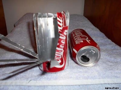 The 3 Rs: Reduce, Reuse, Recycle