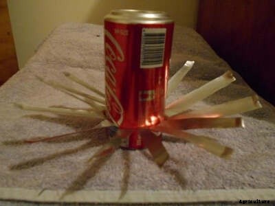 The 3 Rs: Reduce, Reuse, Recycle