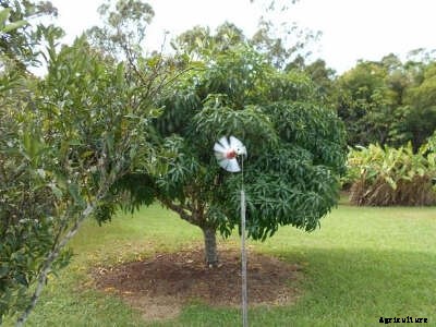 The 3 Rs: Reduce, Reuse, Recycle