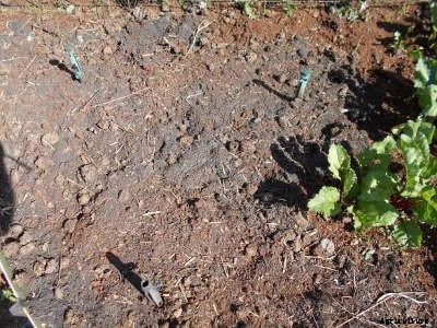 The 3 Rs: Reduce, Reuse, Recycle