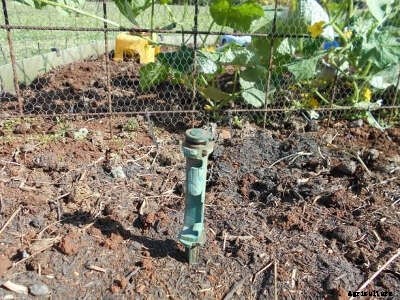 The 3 Rs: Reduce, Reuse, Recycle